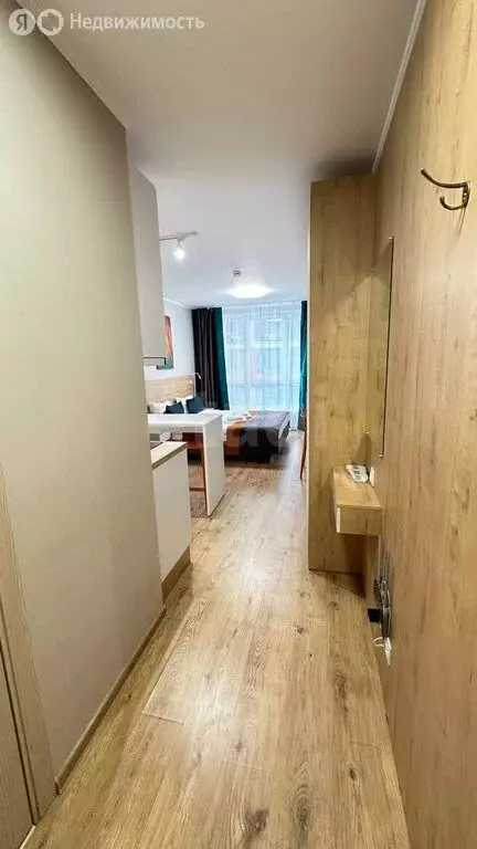 Квартира-студия: посёлок Парголово, Толубеевский проезд, 8к2 (22.5 м) - Фото 2