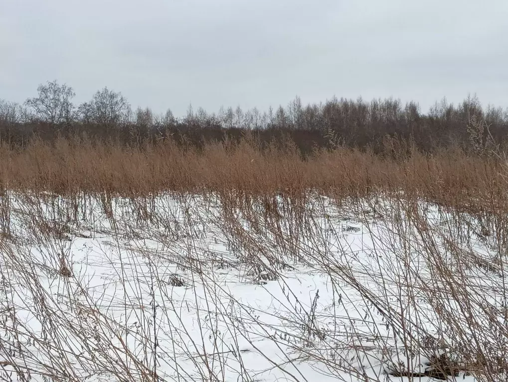 Участок в Московская область, Клин городской округ, д. Теренино  ... - Фото 1