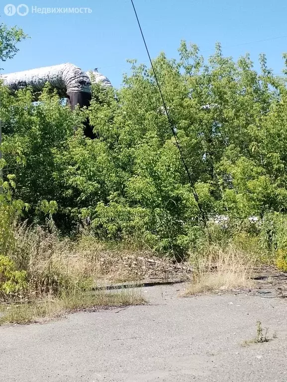 Участок в Алтайский край, Бийск (38.5 м) - Фото 2