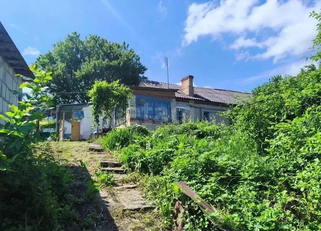 Дом в Белгородская область, Ивня рп ул. Заводская, 4 (64 м) - Фото 1