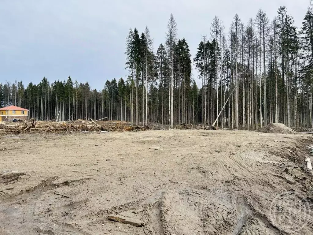Участок в Ленинградская область, Сертолово Всеволожский район, Медное ... - Фото 1