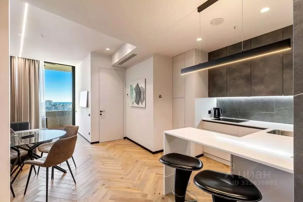 2-к кв. Краснодарский край, Сочи Курортный просп., 59 (55.0 м) - Фото 2