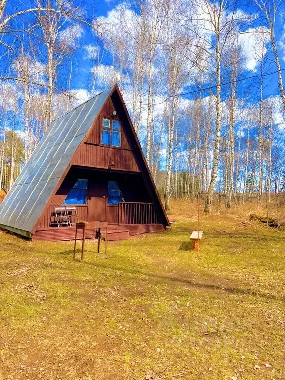 Дом в Челябинская область, Аргаяшский муниципальный округ, ... - Фото 1