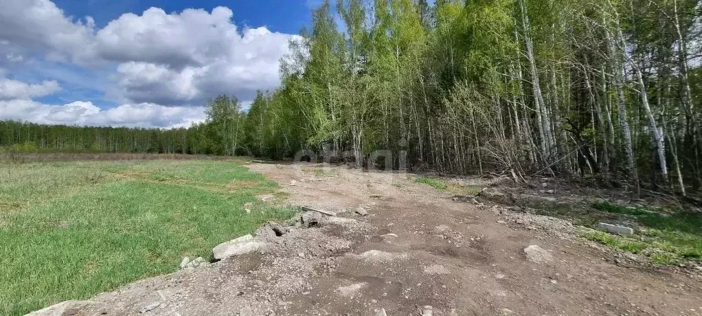 Участок в Свердловская область, Белоярский городской округ, пос. ... - Фото 1