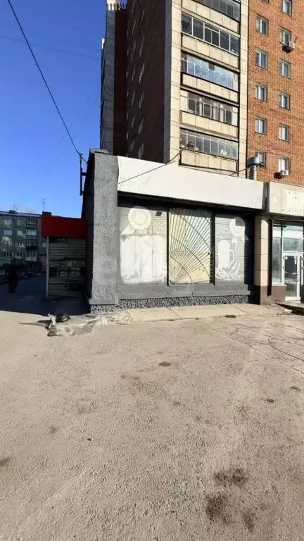 Помещение свободного назначения в Новосибирская область, Новосибирск ... - Фото 1