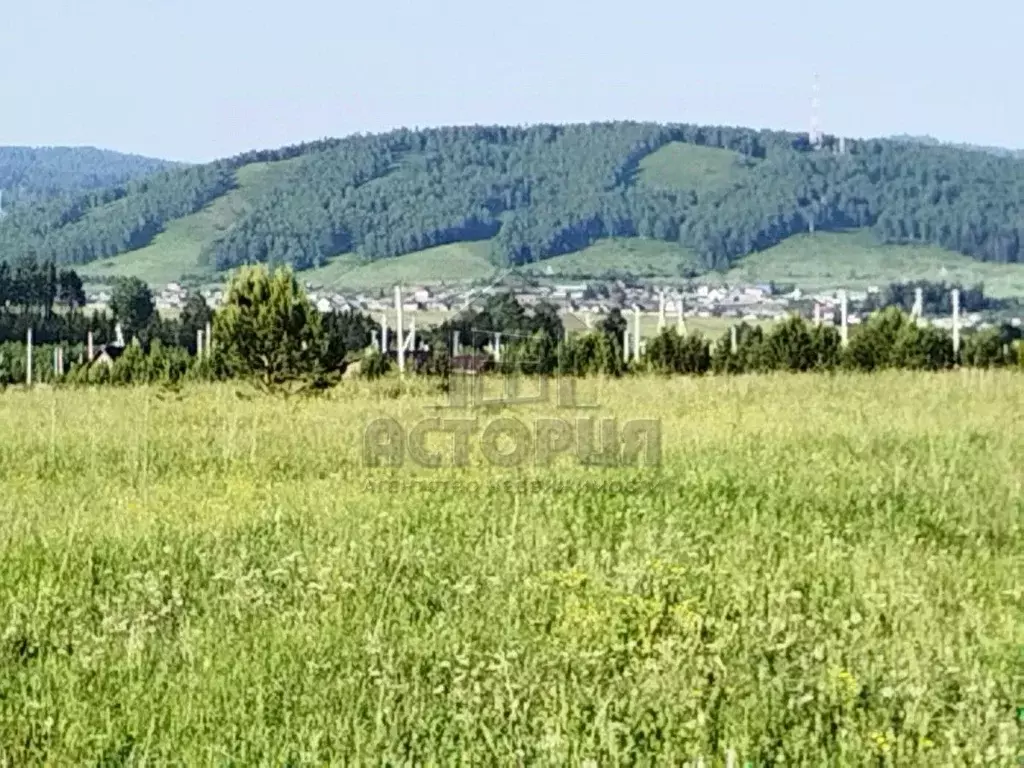 Участок в Красноярский край, Сосновоборский муниципальный округ, с. ... - Фото 2