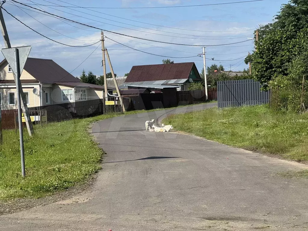 Участок 10 сот. (ИЖС) - Фото 0