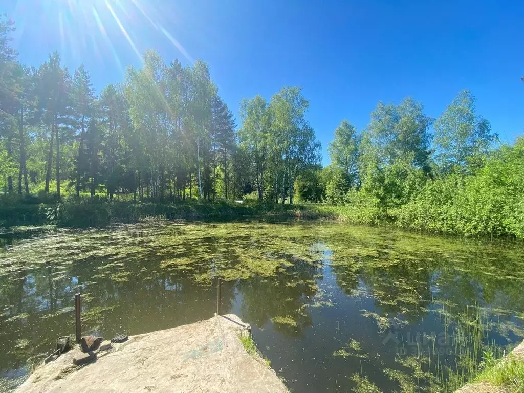 Участок в Московская область, Мытищи городской округ, д. Никульское ... - Фото 0