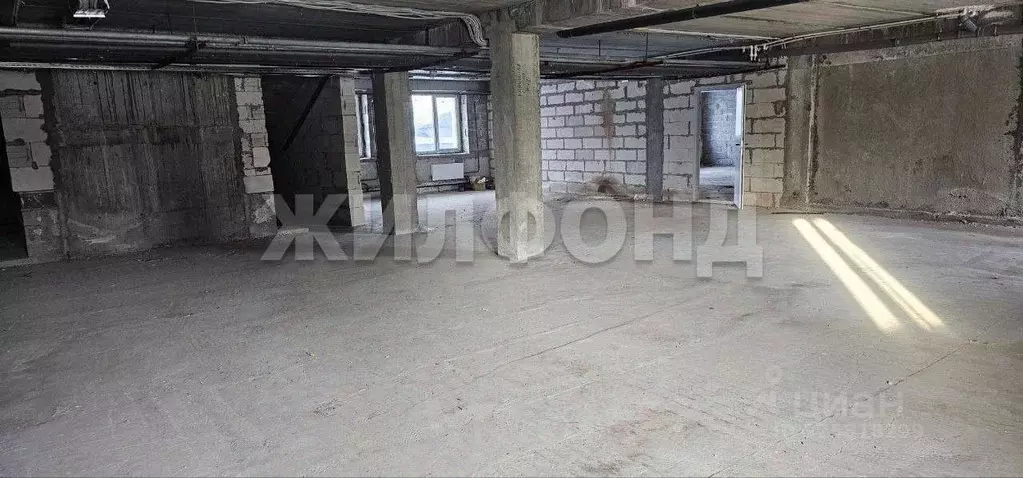 Помещение свободного назначения в Новосибирская область, Новосибирский ... - Фото 1