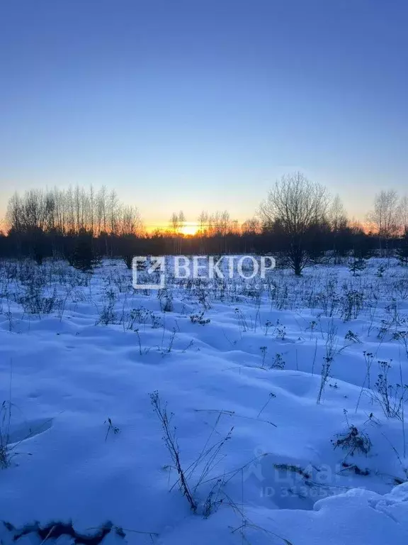 Участок в Костромская область, Кострома Малиновка кп, ул. Катерная ... - Фото 0