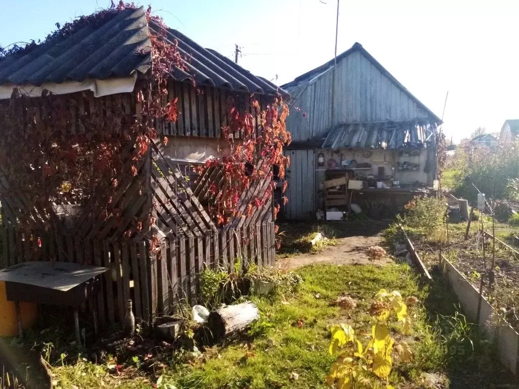 Мебель в хвойной новгородской области