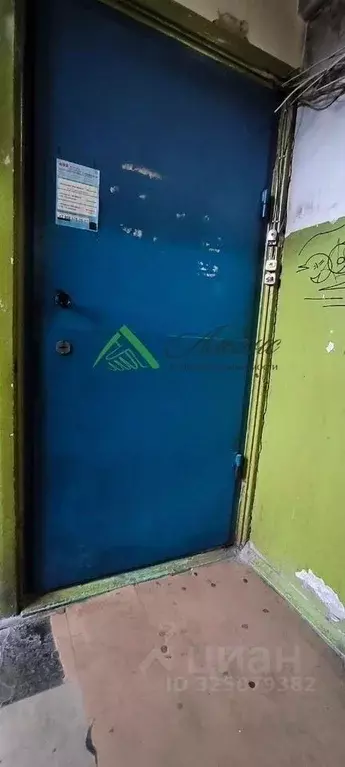 1-к кв. Ленинградская область, Сосновый Бор Сибирская ул., 2 (17.0 м) - Фото 2