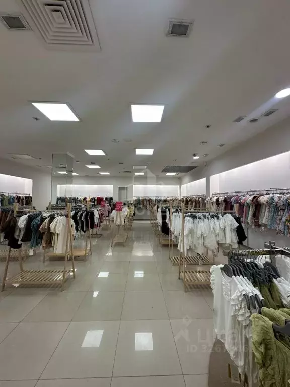 Помещение свободного назначения в Дагестан, Махачкала ул. Толстого, 12 ... - Фото 1