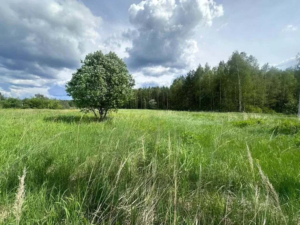 Участок в Московская область, Богородский городской округ, д. Тимково  ... - Фото 1