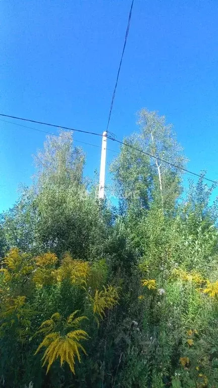 Участок в Владимирская область, Владимир ул. Большая Лукинская, 16 ... - Фото 1