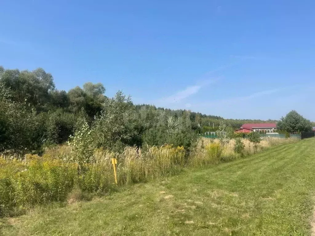 Участок в Тульская область, Заокский район, Страховское с/пос, д. ... - Фото 1