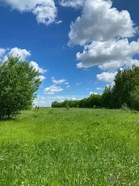 Участок в Московская область, Ступино городской округ, д. Леонтьево  ... - Фото 0