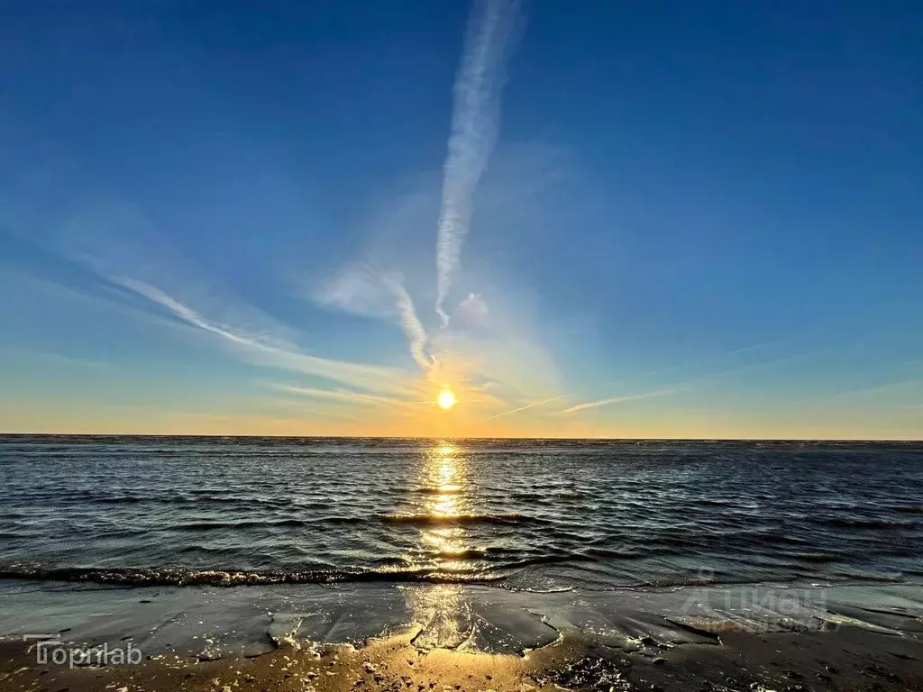 Участок в Ленинградская область, Кингисеппский район, Куземкинское ... - Фото 1