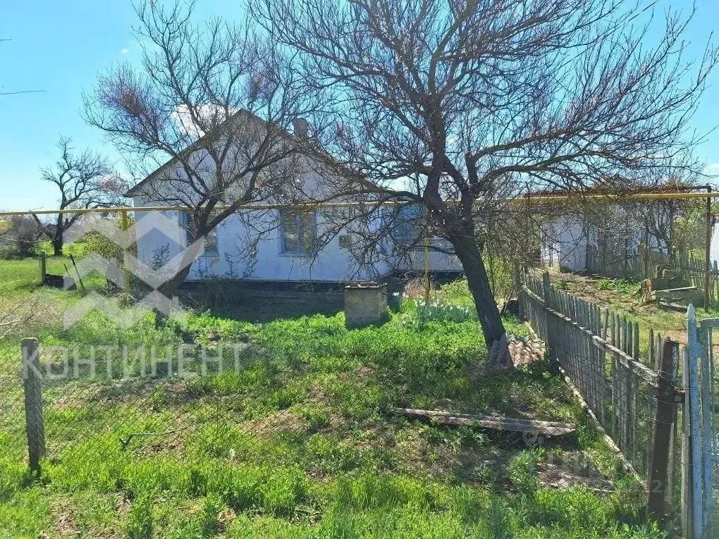 Дом в Крым, Раздольненский район, Березовское с/пос, с. Березовка ул. ... - Фото 1