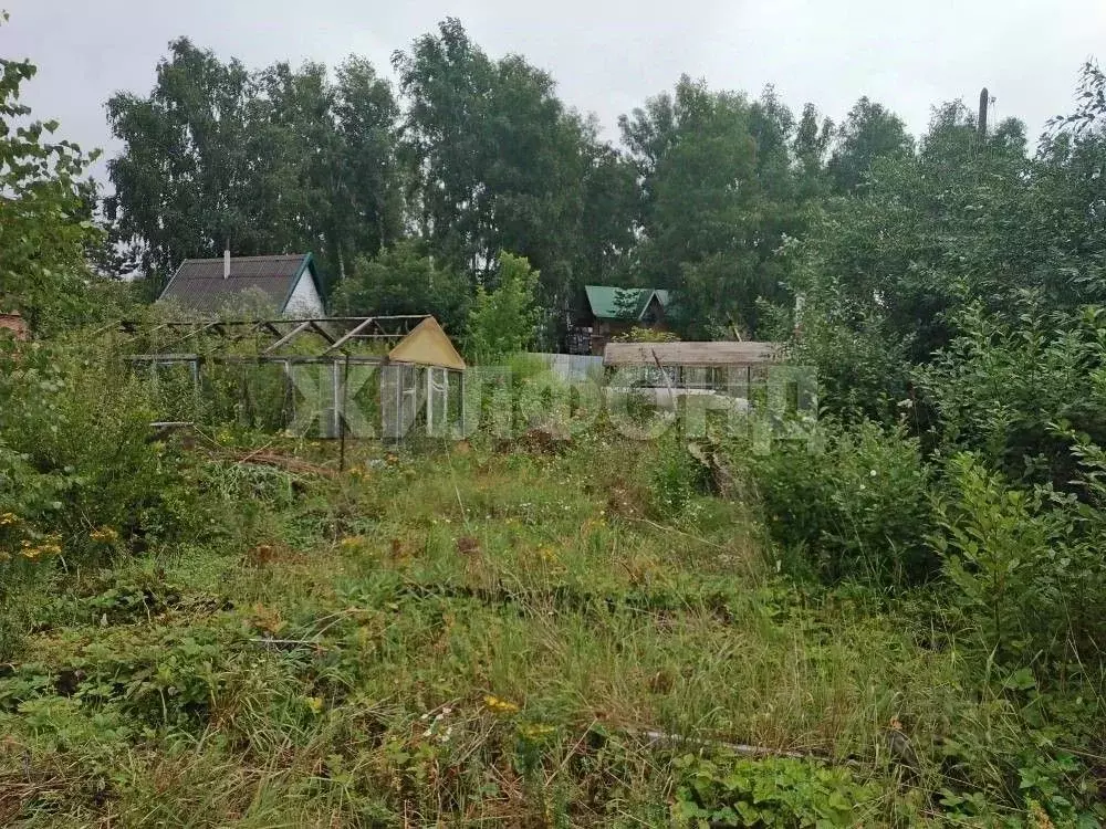 Дом в Новосибирская область, Новосибирск Метростроитель СНТ,  (70 м) - Фото 1