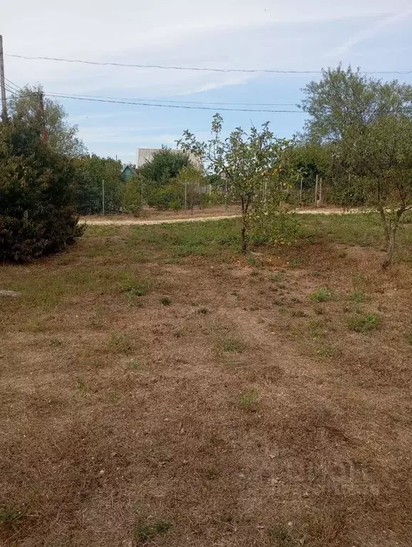 Участок в Крым, Керчь Колос СПК, ул. Лазурная (6.0 сот.) - Фото 2