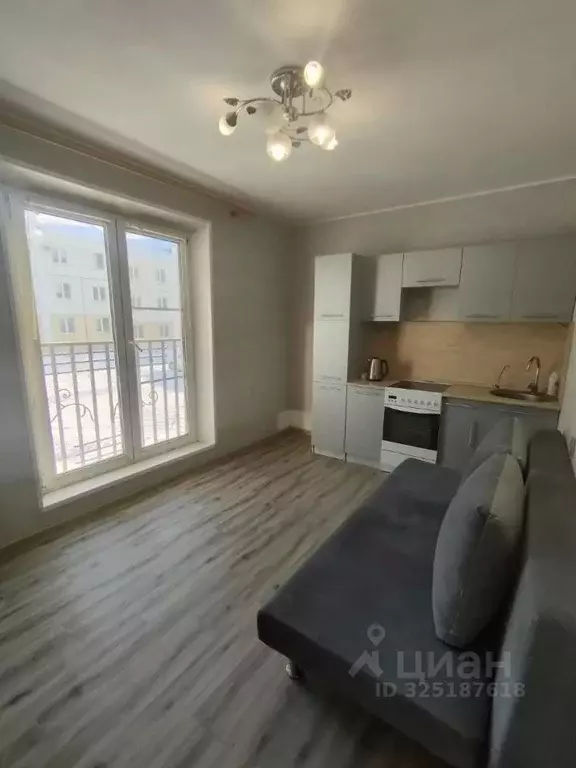 1-к кв. Челябинская область, Сосновский муниципальный округ, д. ... - Фото 1