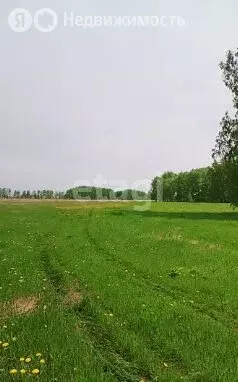 Участок в муниципальный округ Омский район, Магистральное сельское ... - Фото 2