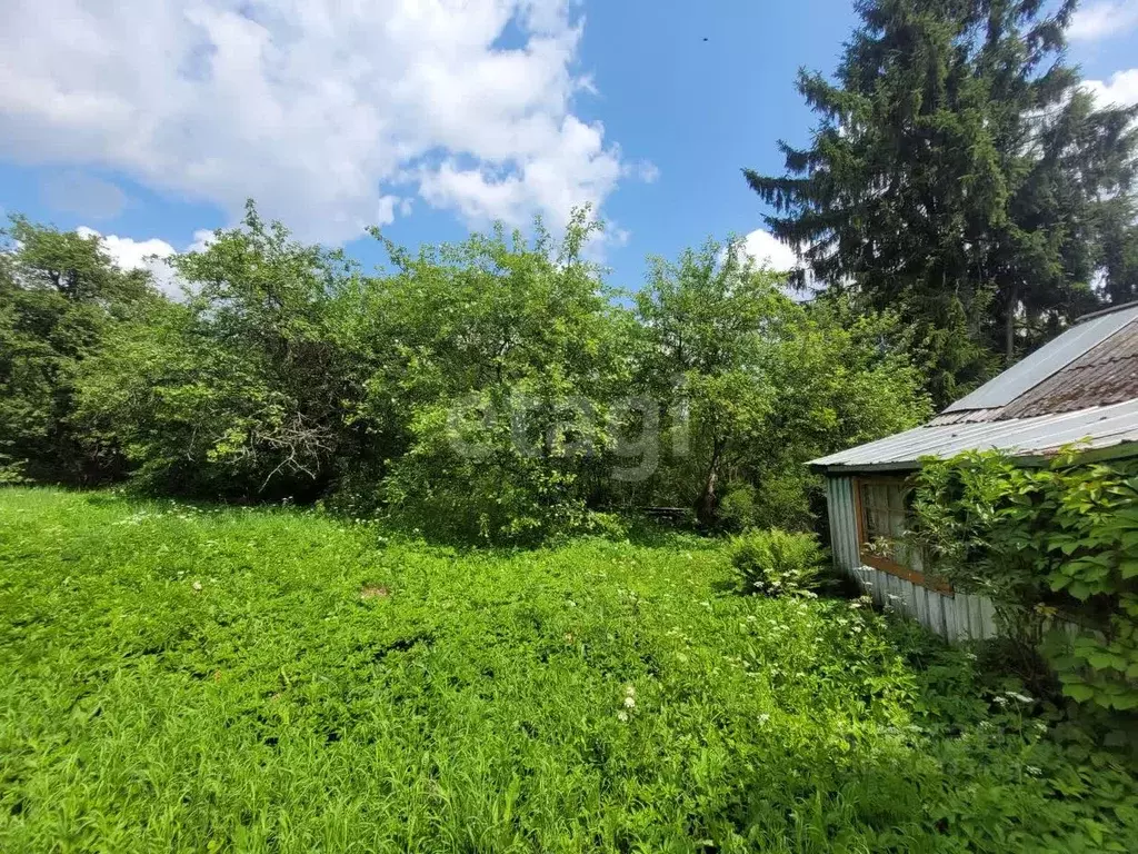 Дом в Смоленская область, Смоленск Озерный СНТ,  (20 м) - Фото 1