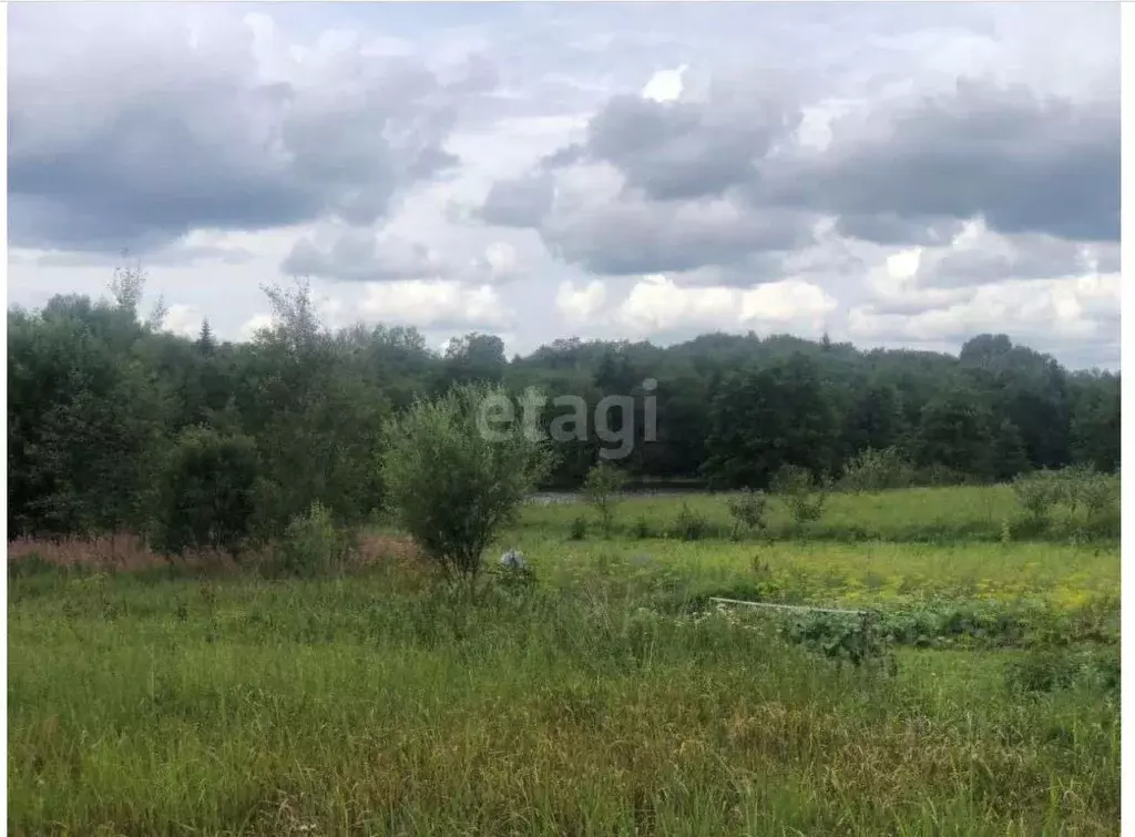 Участок в Псковская область, Невельский муниципальный округ, д. ... - Фото 2