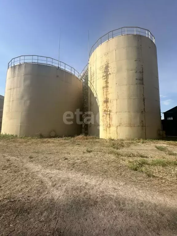 Производственное помещение в Воронежская область, Лиски Фестивальная ... - Фото 1