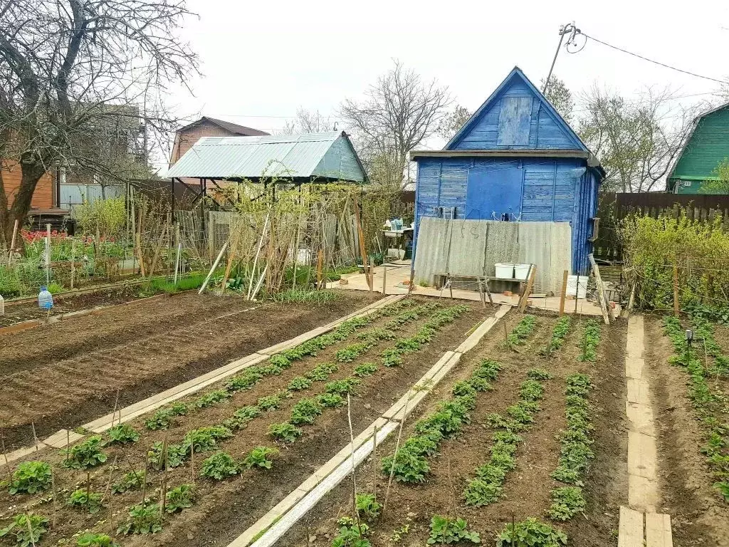 Участок в Ярославская область, Ярославль ул. Борки (3.3 сот.) - Фото 0