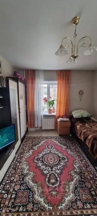 1-к кв. Красноярский край, Красноярск Свободный просп., 43А (31.0 м) - Фото 2