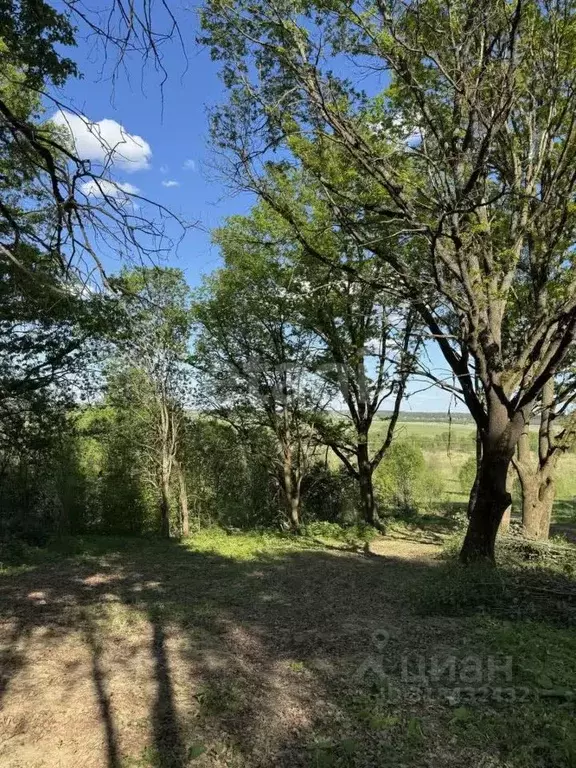 Участок в Калужская область, Совхоз Боровский с/пос, д. Николаевка  ... - Фото 2