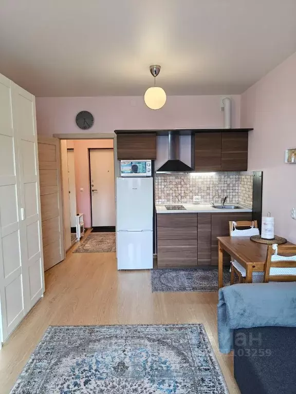 Студия Санкт-Петербург Кондратьевский просп., 68к4 (27.0 м) - Фото 2