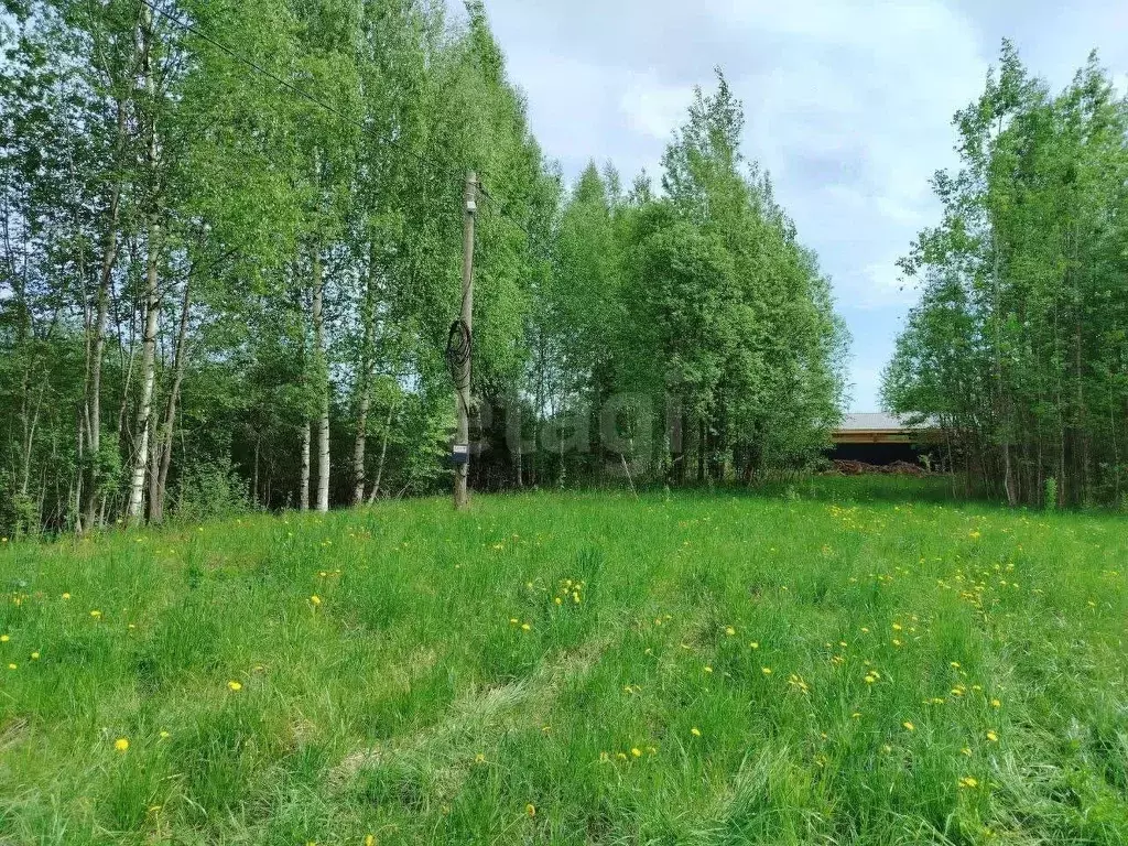 Участок в Вологодская область, Череповецкий район, Ирдоматское с/пос, ... - Фото 1