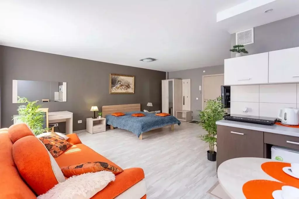 Студия Москва Трехпрудный пер., 10/2 (23.0 м) - Фото 2