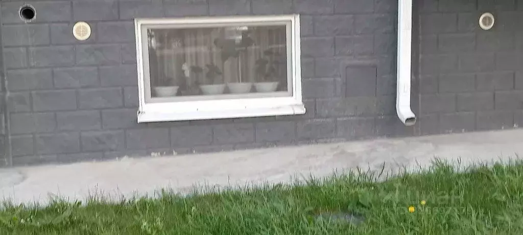 Помещение свободного назначения в Краснодарский край, Анапа ул. ... - Фото 2