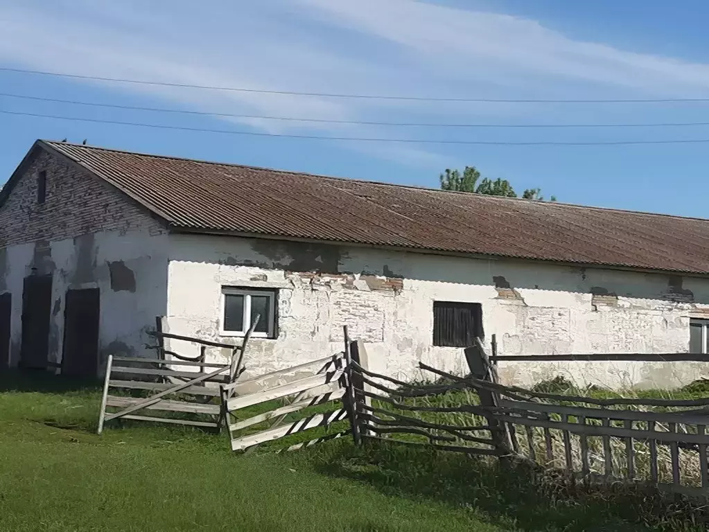 Производственное помещение в Алтайский край, Краснощековский район, ... - Фото 1