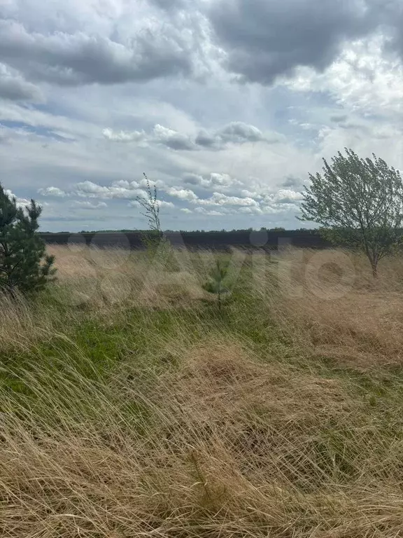 Участок 10,4 сот. (ИЖС) - Фото 1