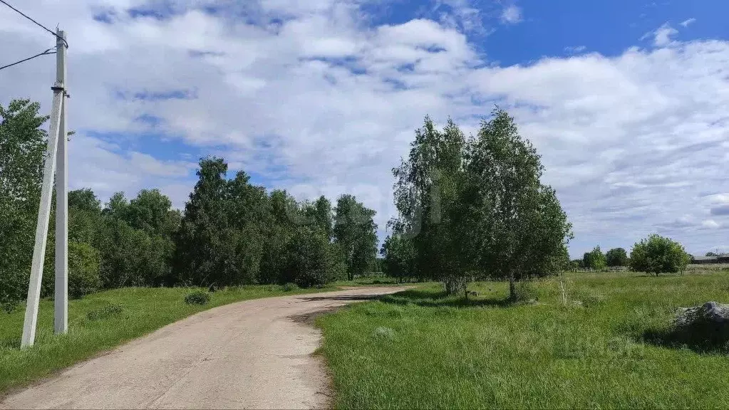 Участок в Новосибирская область, Искитимский район, д. Бурмистрово  ... - Фото 0