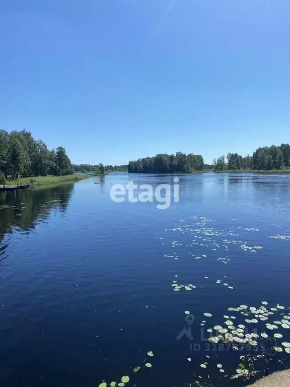 Участок в Ленинградская область, Приозерский район, Ларионовское ... - Фото 0