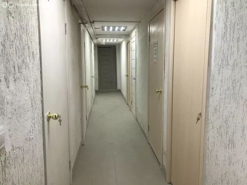 Офис (55.4 м) - Фото 1