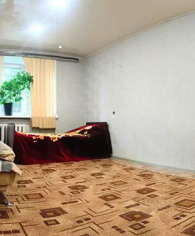 1-к кв. Новосибирская область, Новосибирск ул. Доватора, 19/4 (30.0 м) - Фото 1