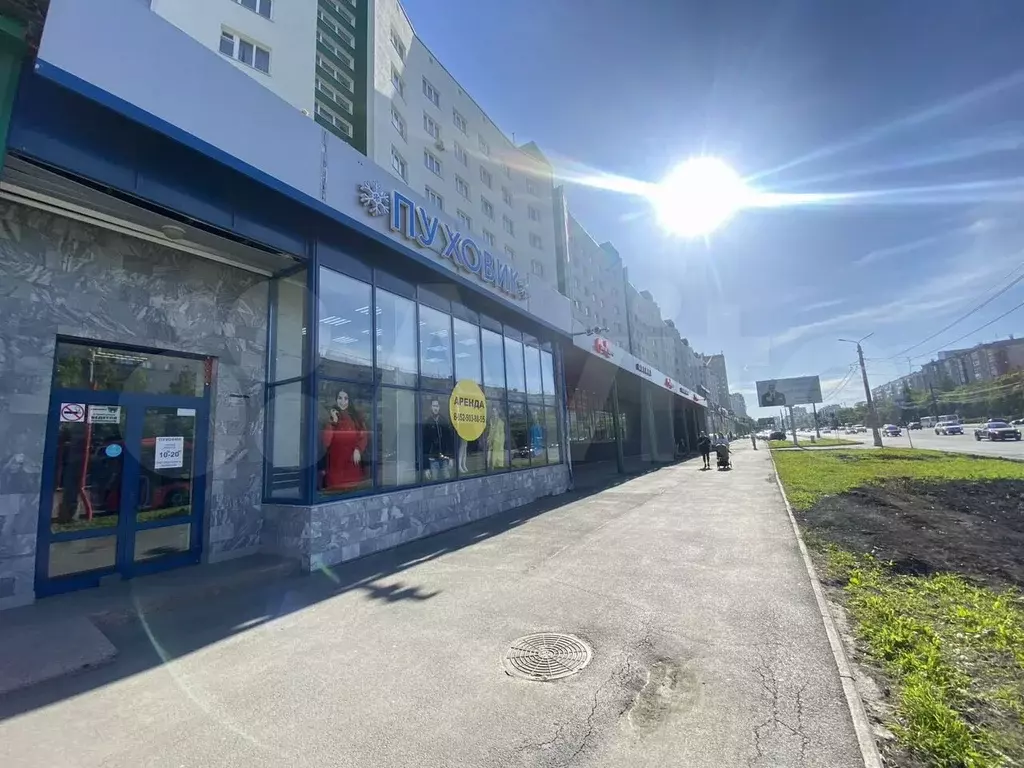 Сдам помещение свободного назначения, 265.5 м - Фото 1