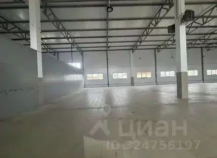 Склад в Ленинградская область, Отрадное Кировский район, Ленинградское ... - Фото 1