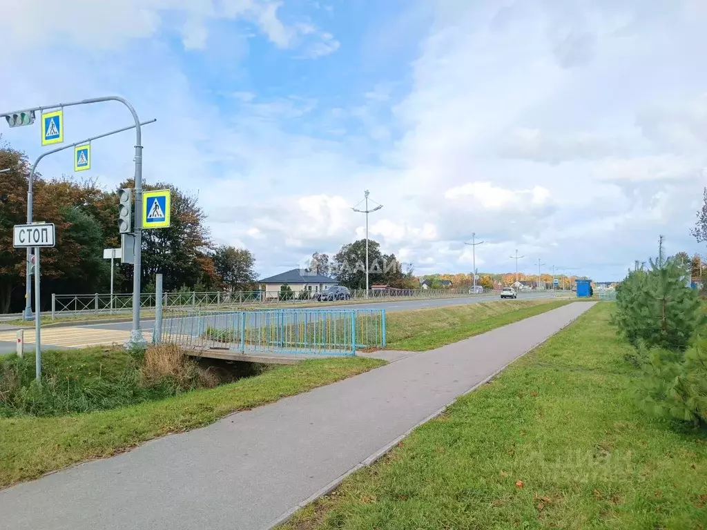 Участок в Калининградская область, Зеленоградский муниципальный округ, ... - Фото 2