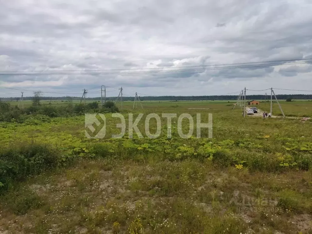 Участок в Ленинградская область, Ломоносовский район, д. Гостилицы  ... - Фото 0