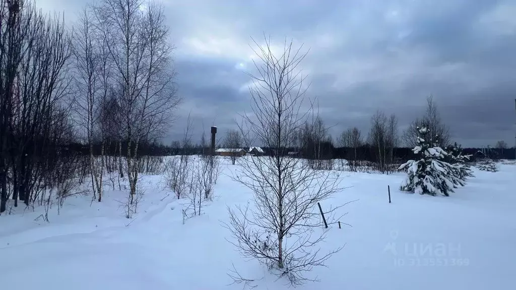 Участок в Московская область, Истра муниципальный округ, пос. Хуторки  ... - Фото 1