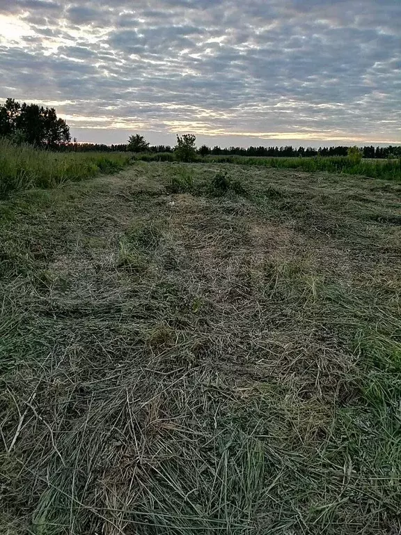 Участок 11 сот. (ИЖС) - Фото 0