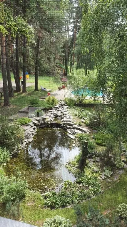 Участок в Алтайский край, Барнаул городской округ, пос. Черницк ул. ... - Фото 1
